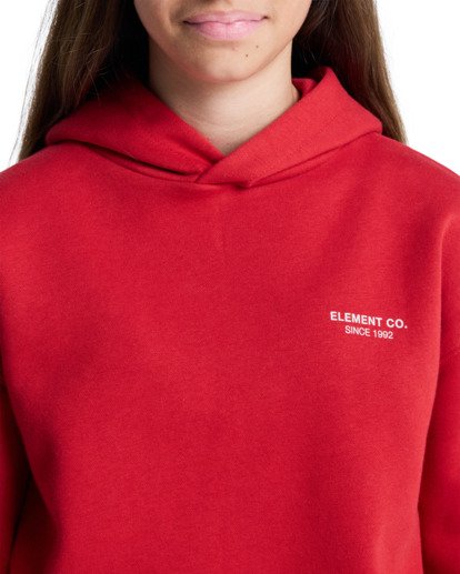 element, Element Co Po Y - Sweat à capuche pour Garçon 8-16 ans, LAVA FALLS (rra0) Element Co Po Y - Hoodie for Boys 8-16  ELBSF00196