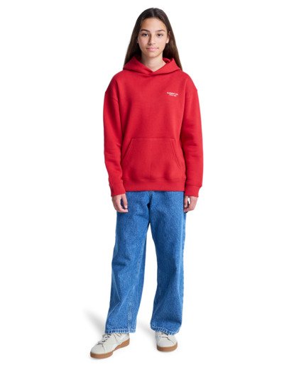 element, Element Co Po Y - Sweat à capuche pour Garçon 8-16 ans, LAVA FALLS (rra0) Element Co Po Y - Hoodie for Boys 8-16  ELBSF00196
