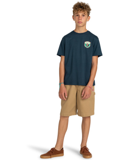 Carpenter - Carpenter Walk Shorts for Boys 8-16  ELBWS00112