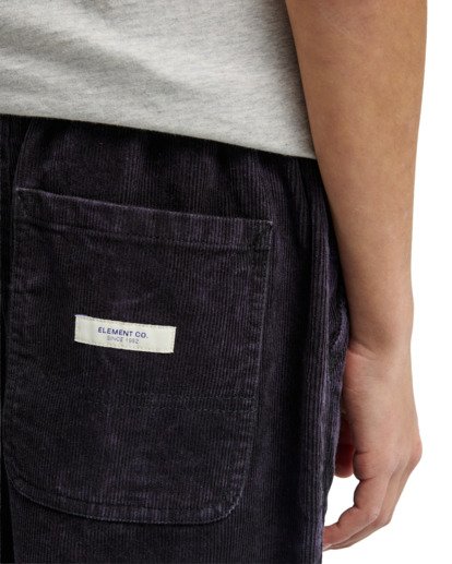 Big - Corduroy Shorts for Boys 8-16  ELBWS00124