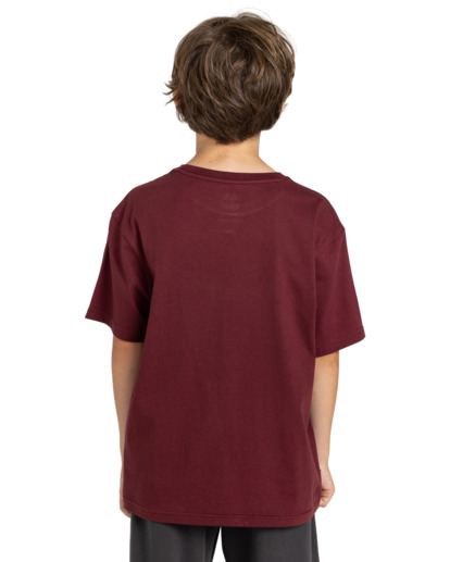 Blazin - T-Shirt for Boys 8-16  ELBZT00108