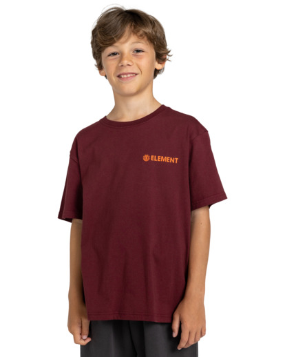 Blazin - T-Shirt for Boys 8-16  ELBZT00108