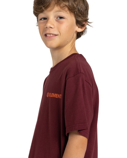 Blazin - T-Shirt for Boys 8-16  ELBZT00108