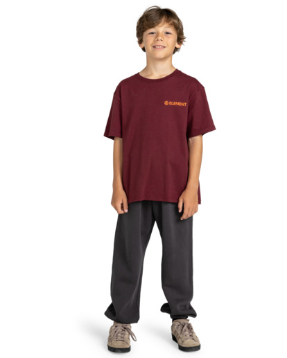 Blazin - T-Shirt for Boys 8-16  ELBZT00108