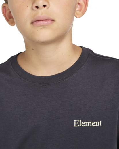 Smokey Bear x Element Wildfires - Short Sleeves T-shirt for Boys 8 - 16  ELBZT00197