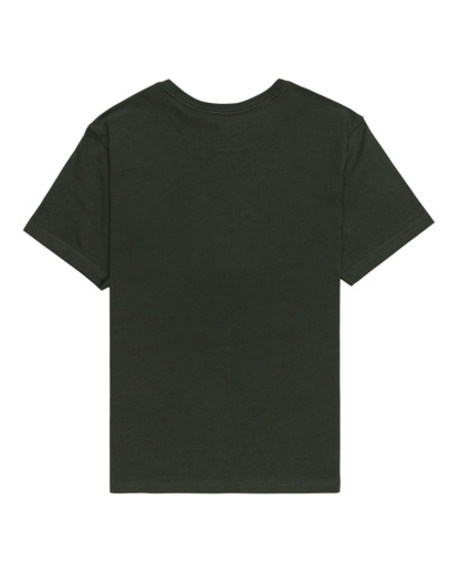 Skateboard Co - Short Sleeves T-shirt for Boys 8 - 16  ELBZT00200