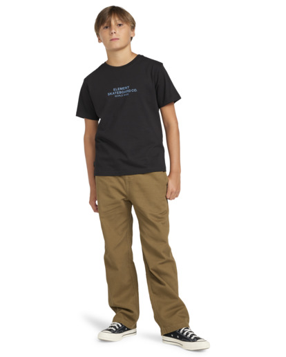 Skateboard Co - Short Sleeves T-shirt for Boys 8 - 16  ELBZT00200