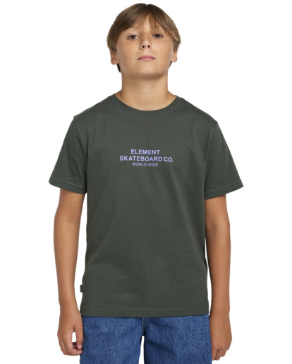 Skateboard Co - Short Sleeves T-shirt for Boys 8 - 16  ELBZT00200