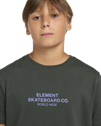 Skateboard Co - Short Sleeves T-shirt for Boys 8 - 16  ELBZT00200