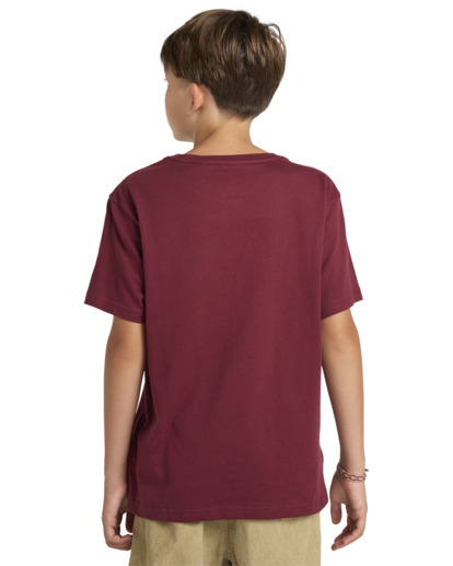 Trains - Short Sleeves T-shirt for Boys 8 - 16  ELBZT00205