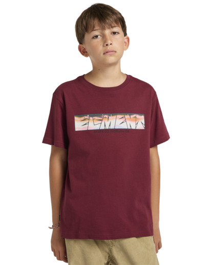 Trains - Short Sleeves T-shirt for Boys 8 - 16  ELBZT00205