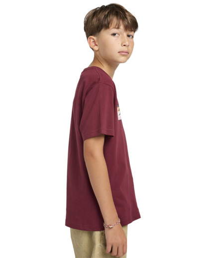 Trains - Short Sleeves T-shirt for Boys 8 - 16  ELBZT00205