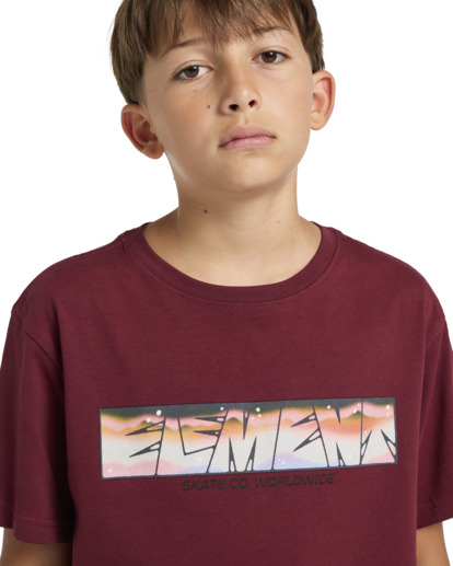 Trains - Short Sleeves T-shirt for Boys 8 - 16  ELBZT00205