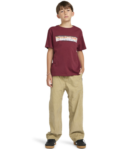 Trains - Short Sleeves T-shirt for Boys 8 - 16  ELBZT00205