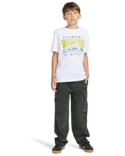 Kyoto - Short Sleeves T-shirt for Boys 8 - 16  ELBZT00212