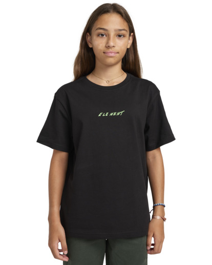 Nothing Weird - Short Sleeves T-shirt for Boys 8 - 16  ELBZT00215