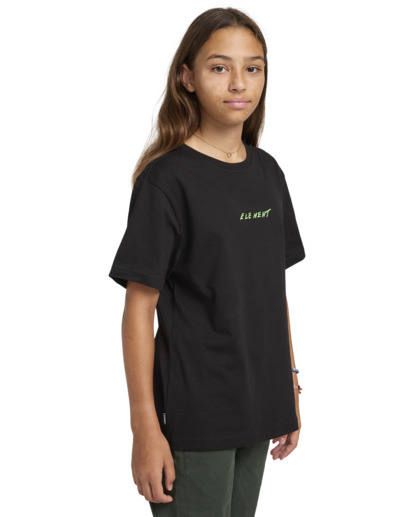 Nothing Weird - Short Sleeves T-shirt for Boys 8 - 16  ELBZT00215