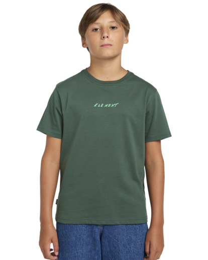 Nothing Weird - Short Sleeves T-shirt for Boys 8 - 16  ELBZT00215