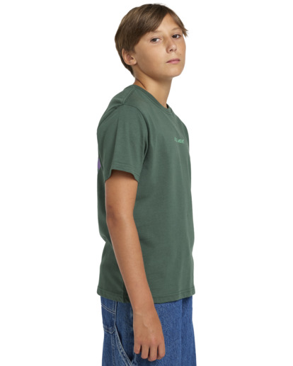 Nothing Weird - Short Sleeves T-shirt for Boys 8 - 16  ELBZT00215