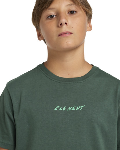 Nothing Weird - Short Sleeves T-shirt for Boys 8 - 16  ELBZT00215