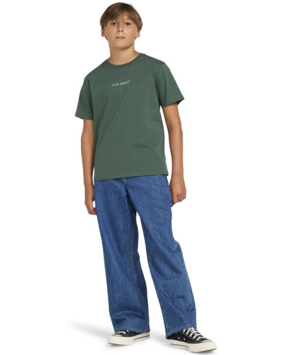 Nothing Weird - Short Sleeves T-shirt for Boys 8 - 16  ELBZT00215