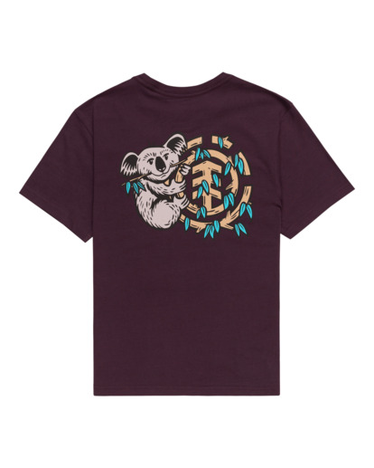 Koala - Short Sleeves T-shirt for Boys 8 - 16  ELBZT00217