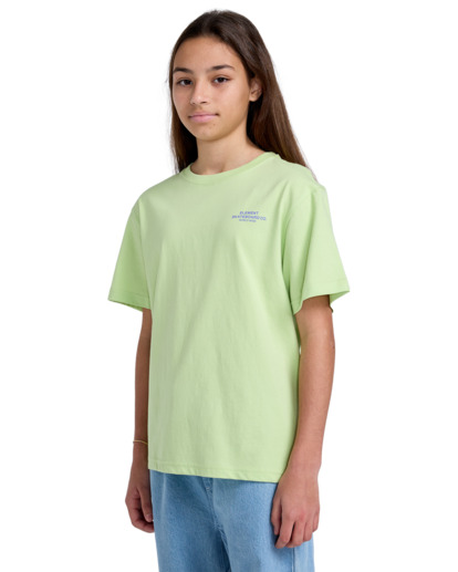 Skateboard Co - Short Sleeves T-Shirt for Boys 8 - 16  ELBZT00226