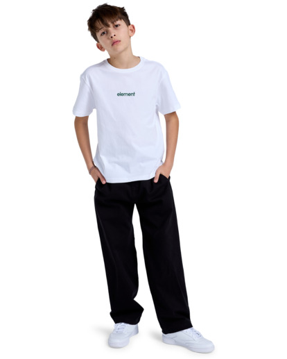 Simple Logo - Short Sleeves T-Shirt for Boys 8 - 16  ELBZT00227