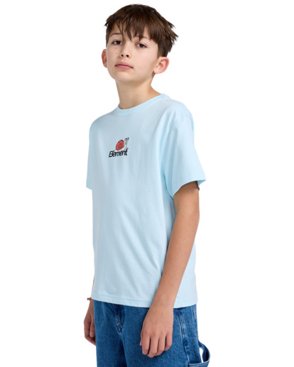 New World - Short Sleeves T-Shirt for Boys 8 - 16  ELBZT00234