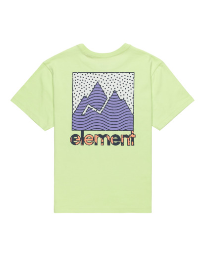 Joint Texture - Short Sleeves T-Shirt for Boys 8 - 16  ELBZT00239