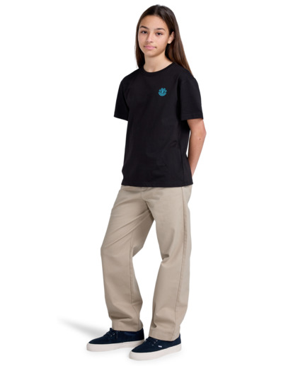 3 Horizons - Short Sleeves T-Shirt for Boys 8 - 16  ELBZT00240