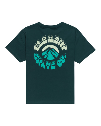 Ambition - Short Sleeves T-Shirt for Boys 8 - 16  ELBZT00241