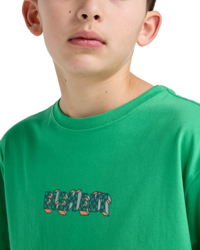 Footsteps - Short Sleeves T-Shirt for Boys 8 - 16  ELBZT00242