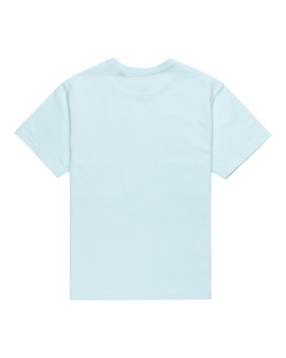 Walkin - Short Sleeves T-Shirt for Boys 8 - 16  ELBZT00243