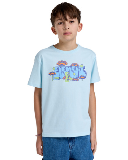 Walkin - Short Sleeves T-Shirt for Boys 8 - 16  ELBZT00243