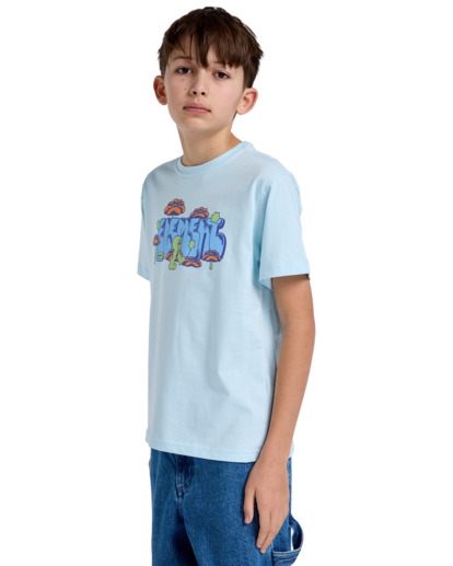 Walkin - Short Sleeves T-Shirt for Boys 8 - 16  ELBZT00243