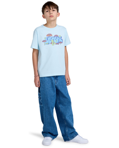 Walkin - Short Sleeves T-Shirt for Boys 8 - 16  ELBZT00243