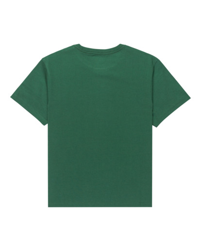 Element Co Y - Short Sleeve T-Shirt for Boys 8-16  ELBZT00248