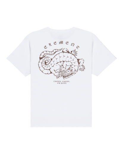 Aligator Y - Short Sleeve T-Shirt for Boys 8-16  ELBZT00254