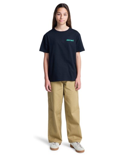 element, Stone Age Y - Short Sleeve T-Shirt for Boys 8-16, FLINT BLACK (fbk) Stone Age Y - Short Sleeve T-Shirt for Boys 8-16  ELBZT00261