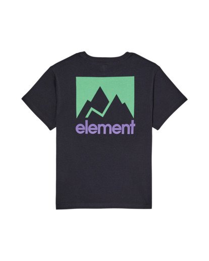 Joint  ELBZT00291