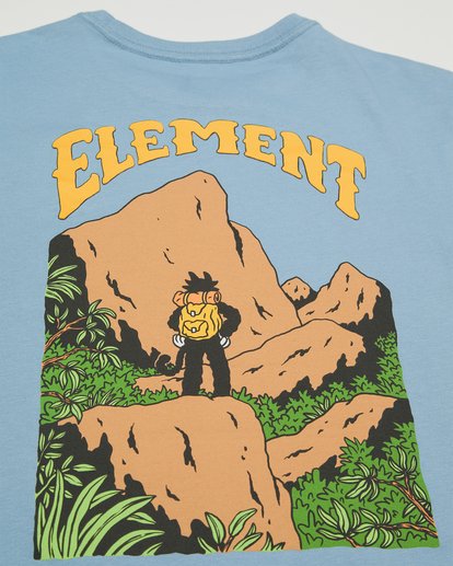 Summit Y  ELBZT00294