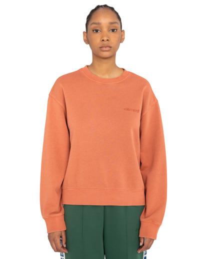 Cornell 3.0 - Pullover Sweatshirt for Women  ELJFT00113