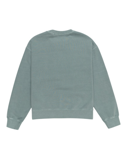 Cornell 3.0 - Pullover Sweatshirt for Women  ELJFT00116