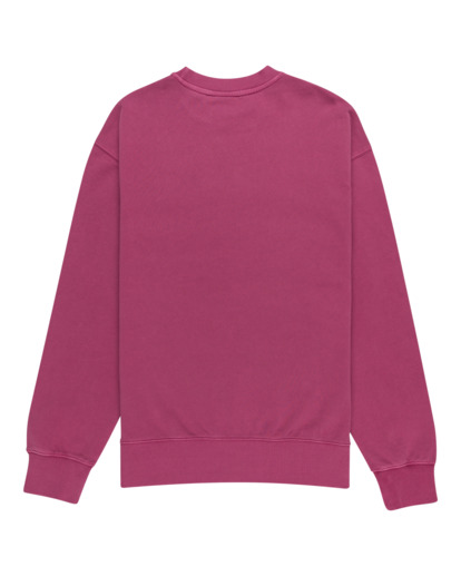 Cornell 3.0 - Sweatshirt for Men  ELYFT00130