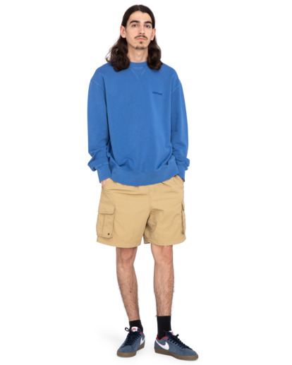 Cornell 3.0 - Sweatshirt for Men  ELYFT00130