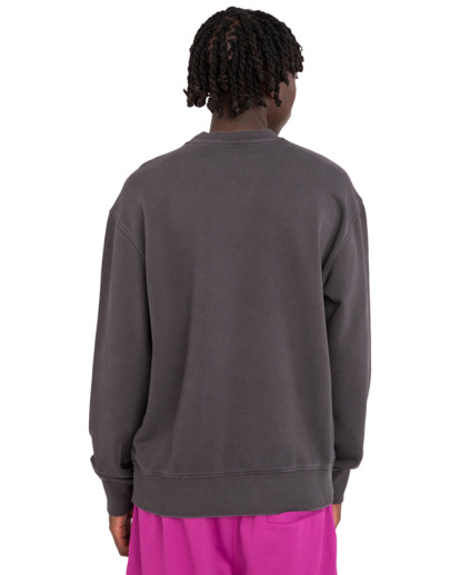 Cornell 3.0 - Sweatshirt for Men  ELYFT00130