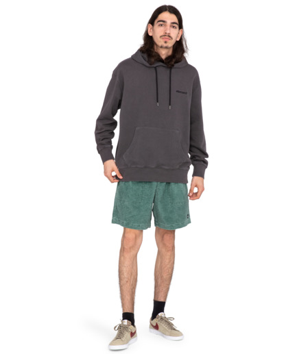 Cornell 3.0 - Hoodie for Men  ELYFT00132