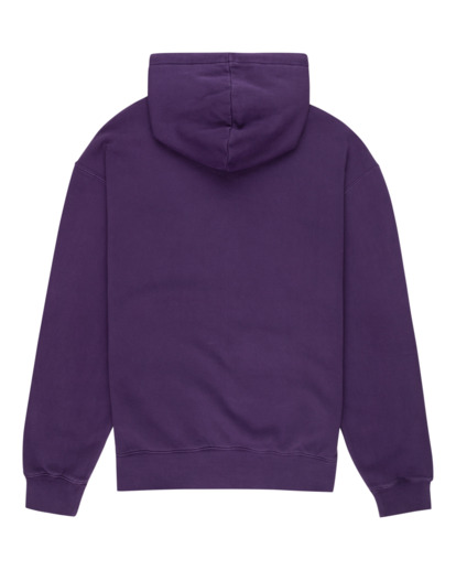 Cornell 3.0 - Hoodie for Men  ELYFT00152