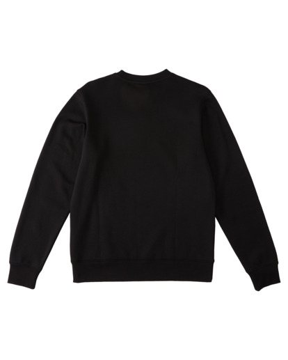 Cornell Classic - Sweatshirt for Men  ELYFT00158